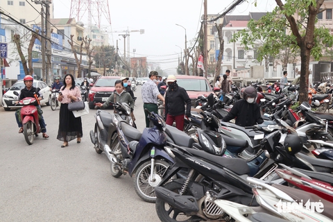 Vì sao cắt cây xanh, đào cả trăm gốc rồi 'bỏ mặc' cả tháng trời? - Ảnh 8.