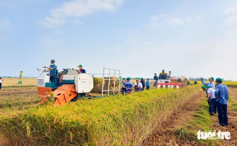 Cần nâng cao năng lực và vai trò của hợp tác xã để thực hiện đề án 1 triệu ha lúa - Ảnh 1.