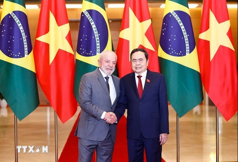 Tổng thống Brazil - Ảnh 4.
