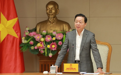 sử dụng đất - Ảnh 1.