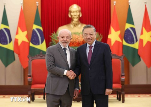 Tổng thống Brazil - Ảnh 1.