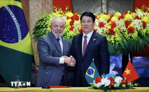 Tổng thống Brazil - Ảnh 1.