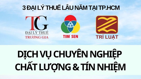 thuế - Ảnh 1.