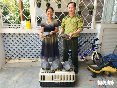 rùa quý hiếm - Ảnh 3.