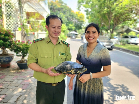 rùa quý hiếm - Ảnh 2.