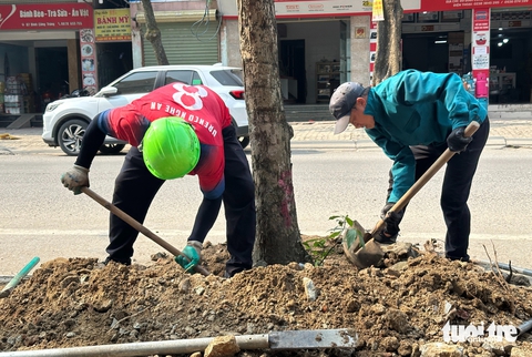 Vụ 'bỏ mặc' cả tháng trời cây xanh đã cắt: Di dời cây xuyên đêm - Ảnh 4.