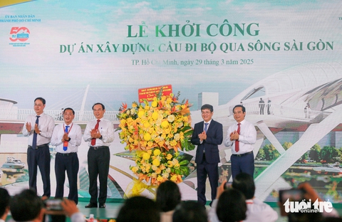 cầu đi bộ - Ảnh 4.