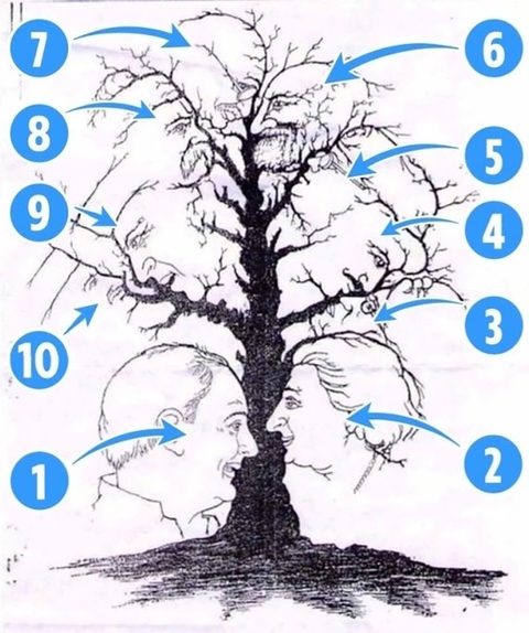 Thử tài tinh mắt - Ảnh 2.