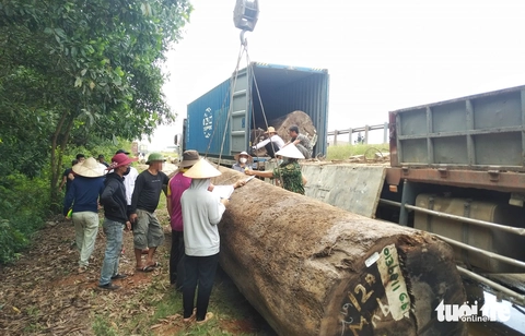Cô gái kể giây phút vứt xe máy, tránh khối gỗ cả tấn rơi từ ô tô - Ảnh 3.
