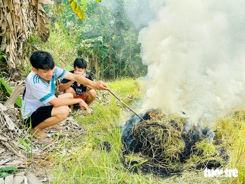 cá lóc đồng - Ảnh 1.