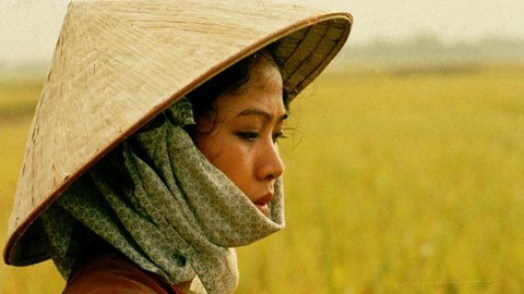 Thương nhớ đồng quê, thương nông dân mình lắm! - Ảnh 1. Thương nhớ đồng quê - Ảnh 1.
