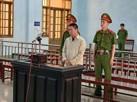hiếp dâm - Ảnh 1.
