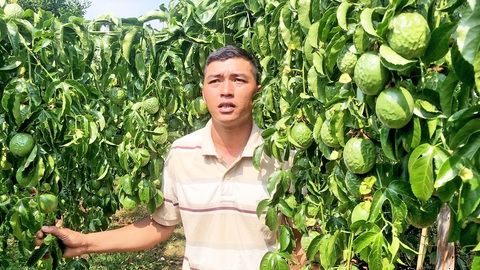 cà phê - Ảnh 1.
