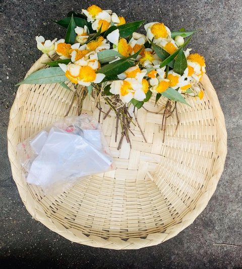 Khi kim đồng hồ dừng lại ở Mandalay - Ảnh 4. Động đất - Ảnh 3.