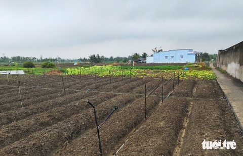 Miền Tây có 'mưa vàng' giải nhiệt sau nhiều ngày nắng đổ lửa - Ảnh 4.