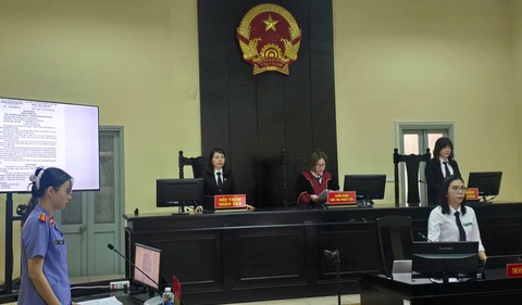 công ty luật nước ngoài - Ảnh 1.