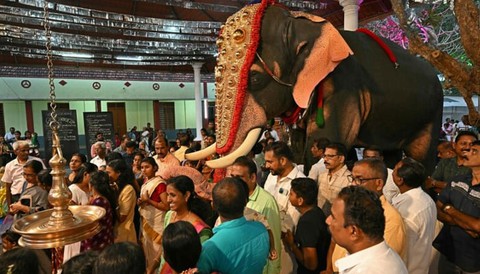 Voi robot cho lễ hội Hindu - giải pháp bảo tồn voi ở Ấn Độ - Ảnh 1. Voi robot cho lễ hội Hindu - giải pháp bảo tồn voi ở Ấn Độ - Ảnh 1.