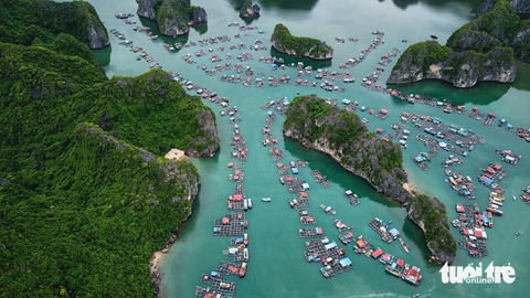 Sa Pa, Cát Bà lọt top điểm đến được tìm kiếm nhiều nhất đầu năm 2025 - Ảnh 2. Sa Pa, Cát Bà lọt top điểm đến được tìm kiếm nhiều nhất đầu năm 2025 - Ảnh 2.