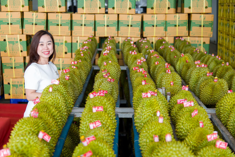 Trung Quốc phê duyệt thêm gần 1.000 vùng trồng và cơ sở đóng gói sầu riêng Việt Nam - Ảnh 1.