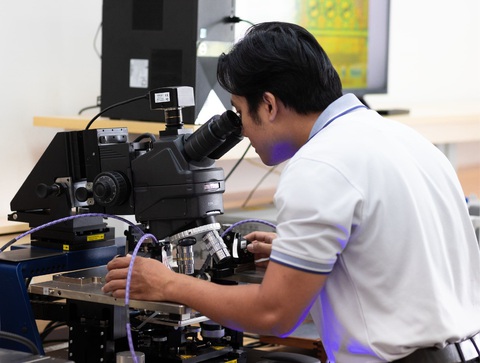 TP.HCM kiến nghị hợp nhất BQL Khu Công nghệ cao và BQL Khu Nông nghiệp công nghệ cao - Ảnh 1.