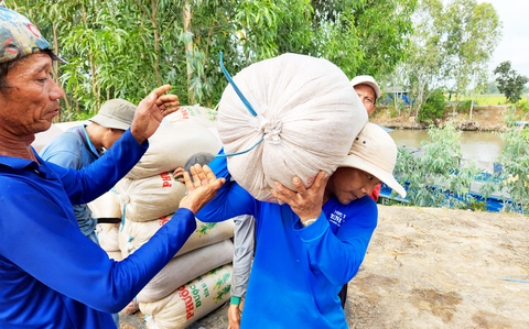 Chung tay giữ giá lúa gạo - Ảnh 2. Chung tay giữ giá lúa gạo - Ảnh 2.
