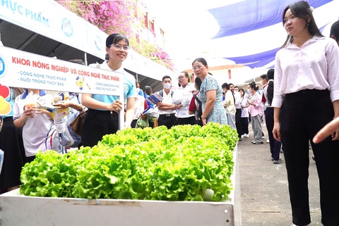 Học ngành luật có cần 'gốc gác' mới xin được việc? - Ảnh 3.