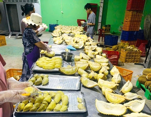 Loay hoay xuất khẩu sầu riêng đông lạnh sang Trung Quốc - Ảnh 1. Loay hoay xuất khẩu sầu riêng đông lạnh sang Trung Quốc - Ảnh 1.