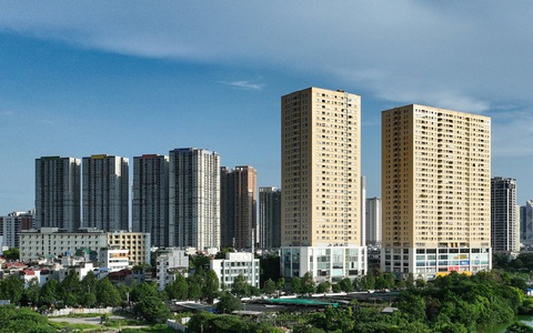 Tin tức sáng 10-3: TP.HCM làm đường kết nối cao tốc lên Tây Nguyên; Giá heo có thể tăng tiếp - Ảnh 3. Tin tức sáng 10-3: TP.HCM làm đường nối cao tốc lên Tây Nguyên; Giá heo có thể tăng tiếp - Ảnh 3.