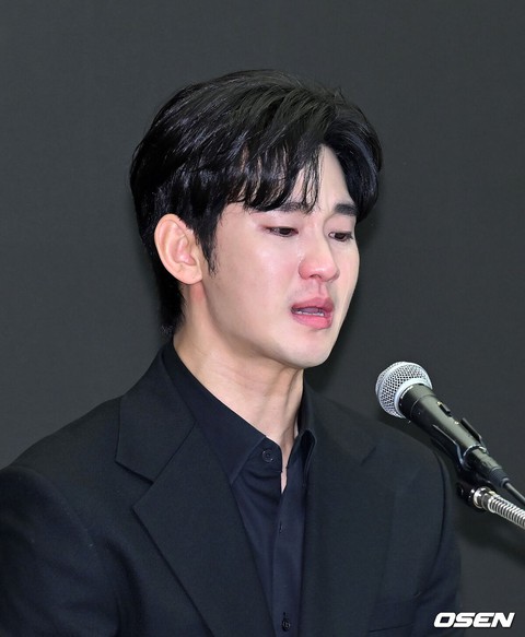 Tòa án chấp nhận đơn kiện của Kim Soo Hyun - Ảnh 3.