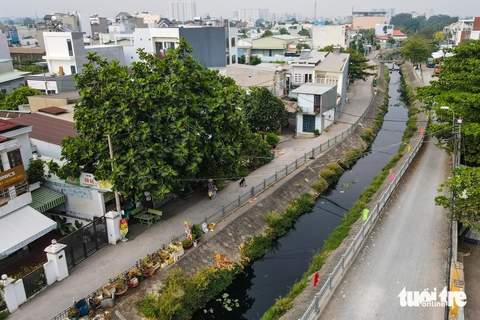 quận 12 - Ảnh 1.