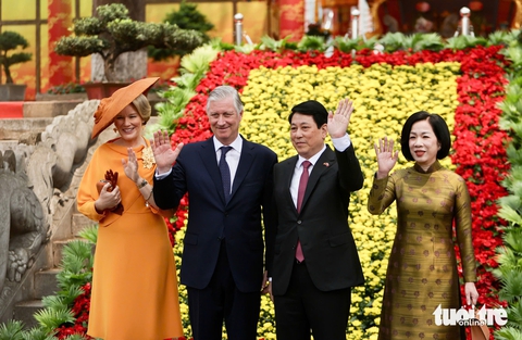 Nhà vua Bỉ - Ảnh 1.