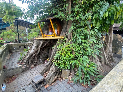 Hội An - Ảnh 3.
