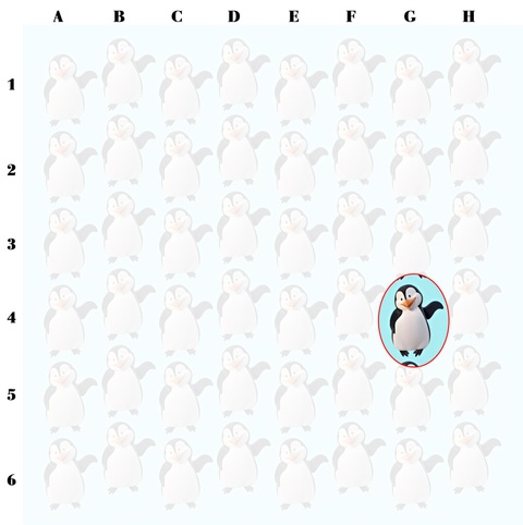 lạc đà - Ảnh 4.