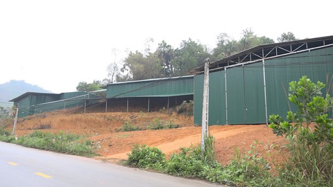 Dựng nhà tạm bợ để chờ nhận đền bù dự án đường dây 500kV Lào Cai - Vĩnh Yên - Ảnh 1.