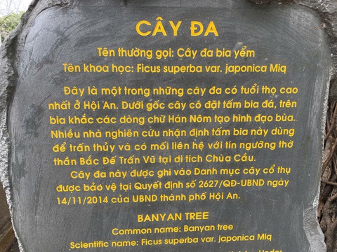 Hội An - Ảnh 4.