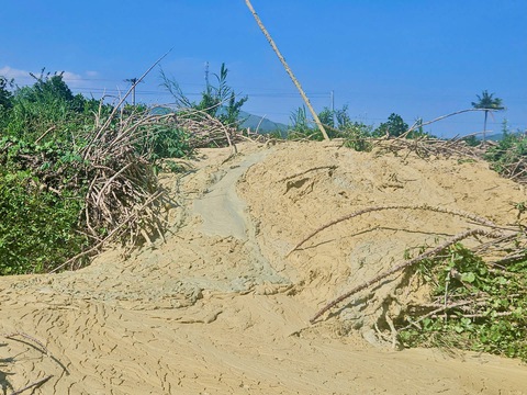 bùn phun trào - Ảnh 2.