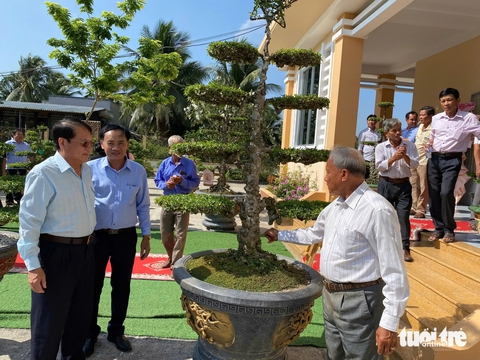 Trồng mai nu chiếu thủy mỗi hộ thu lợi nhuận hơn 400 triệu đồng - Ảnh 1.
