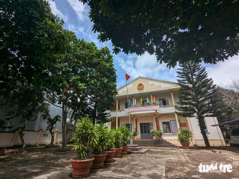 chánh án - Ảnh 1.