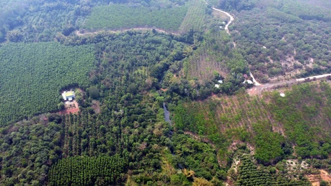 cầu Mã Đà - Ảnh 1.