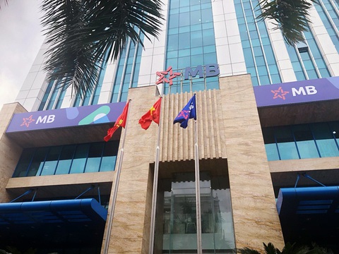 ngộ độc - Ảnh 2.