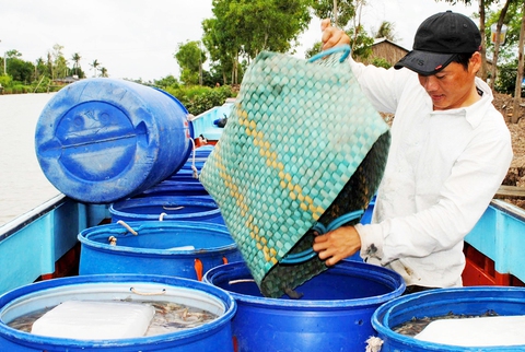 Dệt may ứng phó với thuế đối ứng: Mở rộng thị trường, tăng sản xuất xanh - Ảnh 2. Dệt may ứng phó với thuế đối ứng: Mở rộng thị trường, tăng sản xuất xanh - Ảnh 2.