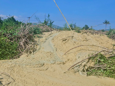 bùn phun trào - Ảnh 2.