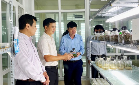 Tỉnh càng nghèo càng phải chuyển đổi số để thoát nghèo - Ảnh 2.