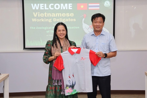Sếu đầu đỏ Thái thích nghi tốt ở Việt Nam - Ảnh 2. Sếu đầu đỏ Thái thích nghi tốt ở Việt Nam - Ảnh 2.