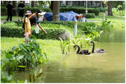 Sống chất lượng tại khu đô thị đa dạng sinh học ở TP.HCM - Ảnh 1.
