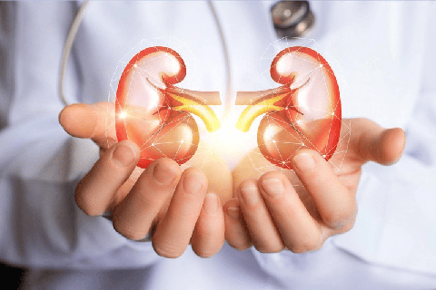 Sáng thức giấc mí mắt sưng rồi lan xuống chân, coi chừng mắc bệnh về thận - Ảnh 1. Sáng thức giấc mí mắt sưng rồi lan xuống chân, coi chừng mắc bệnh về thận - Ảnh 1.