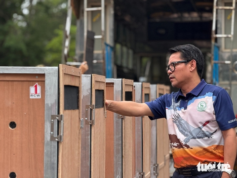 Sếu đầu đỏ Thái thích nghi tốt ở Việt Nam - Ảnh 5. Sếu đầu đỏ Thái thích nghi tốt ở Việt Nam - Ảnh 5.