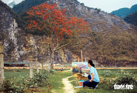 Ngắm con đường hoa gạo đỏ rực được người dân xứ Nghệ bảo vệ - Ảnh 8.