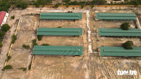Ninh Thuận - Ảnh 4.