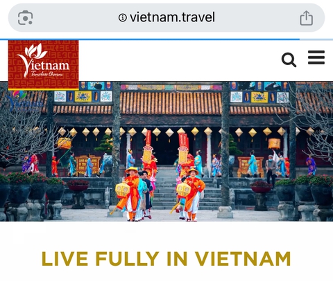 việt nam - Ảnh 2.